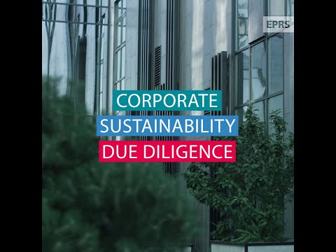 Corporate sustainability due diligence